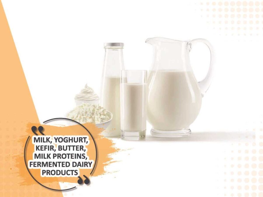 dairy-product (2)