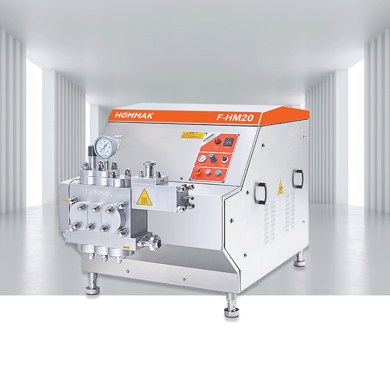 f-hm20-piston-pump