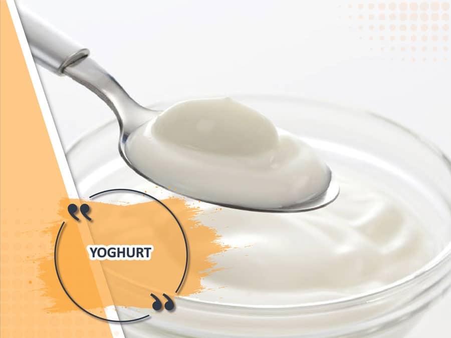 2-hommak-yoghurt-plant