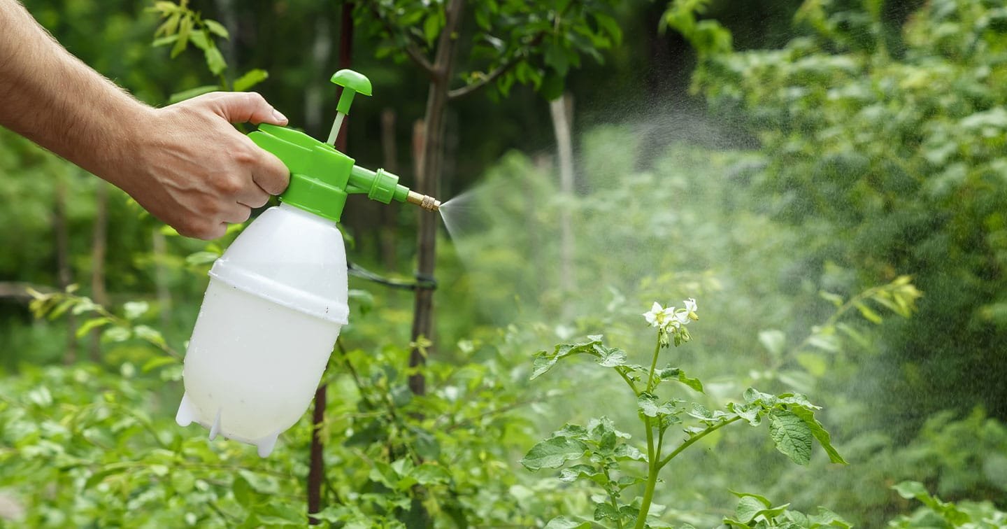 The Crucial Role of Homogenizers in Agricultural Chemical Production A