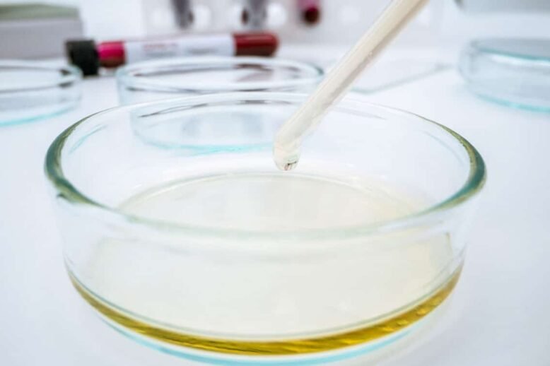 unlocking-yeast-cell-potential-in-biotechnology-the-role-of-homogenizers